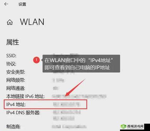 日本服务器免费 IP 地址浏览器:开启高效网络之旅