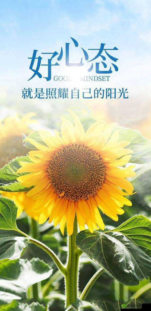 免费正能量不良网站入口:打开心灵的窗户,探寻正能量的世界