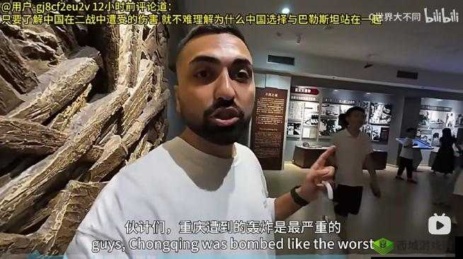 欧洲人看的 WWW 哔哩哔哩:探索独特的视频文化视角