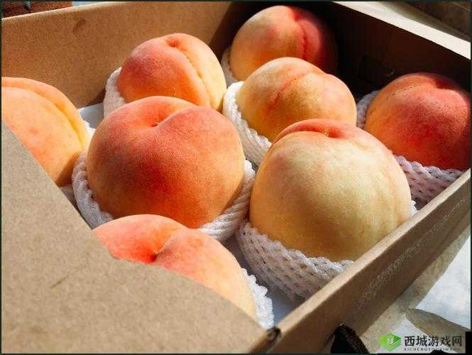 x7x7x7x7 水蜜桃在线:带来美味水果的在线平台