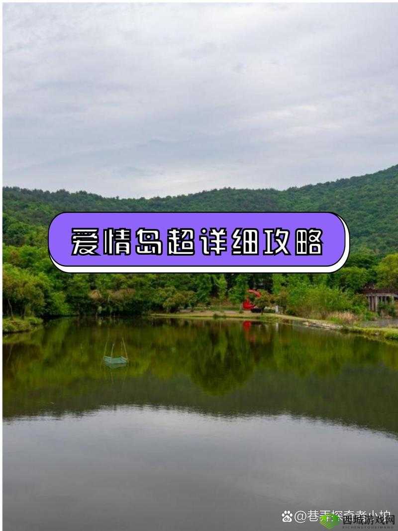 爱情岛独家论坛-一个充满浪漫与情感交流的温馨家园