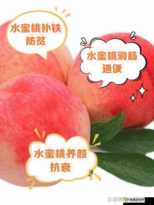 日本水蜜桃身体:关于其特征与营养价值的全面解析