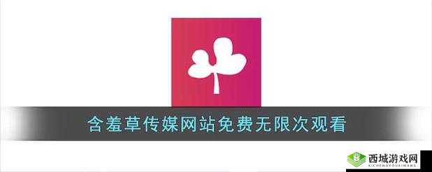 含羞草传媒 2024 隐藏路线免费观看无限制:揭秘隐藏剧情,畅享无限精彩