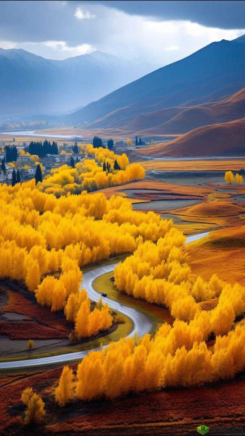 中国新疆 XXXXXL19 免费看:带你领略新疆之美