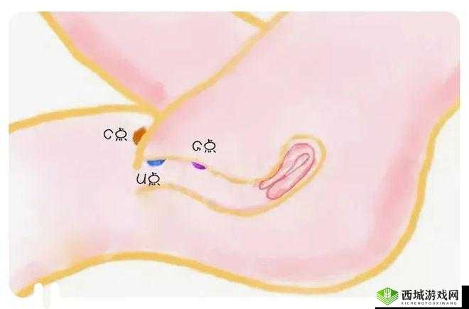 内射 69XXX:探索私密情感的极致体验