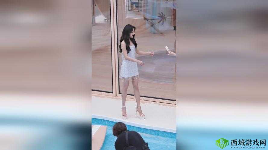 8x8x 华人海外:海外华人的独特故事与风采