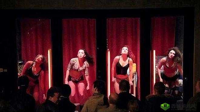 夜夜爽妓女 8888 视频免费观看:揭秘成人世界的诱惑与不堪