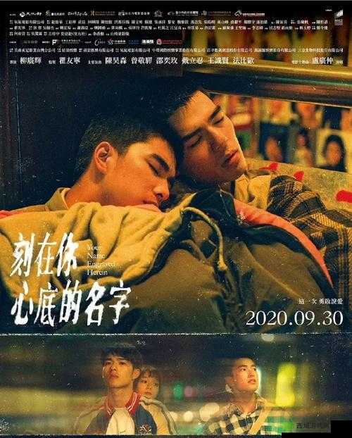 最好看的中文字幕国语电影:经典之作不容错过