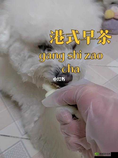 美国人与动物胶配方有几种:探究其多样性与应用领域