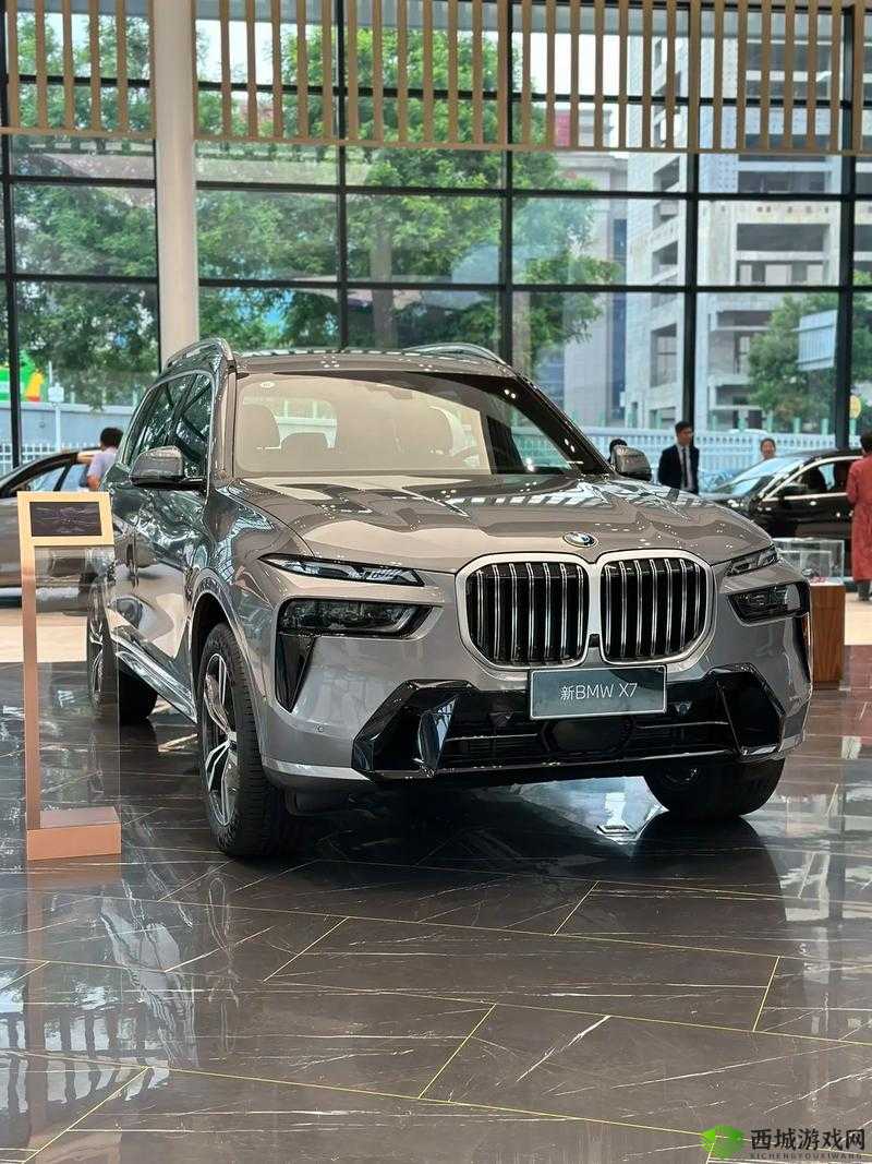 国产与进口 x7x7x7 槽比较:谁更胜一筹?