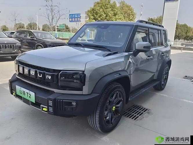 欧洲无人区码 SUV :探索未知地域的绝佳座驾