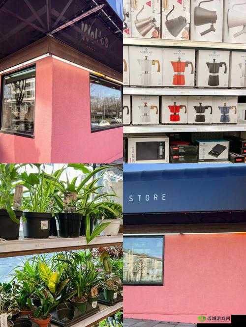 通房 11h 温东:独特视角下的精彩呈现