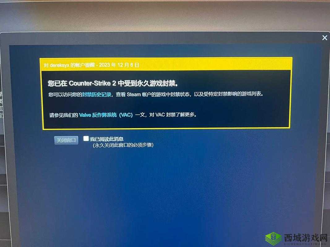 55 岁大妈玩 csgo 被封打不开:游戏封禁背后的无奈与困惑