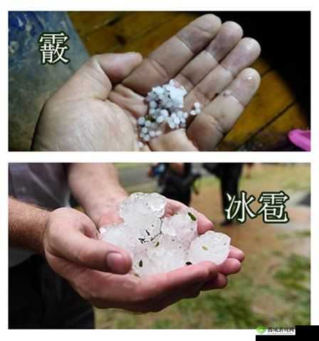 小豆寒天,和风飨灵的夏日清凉