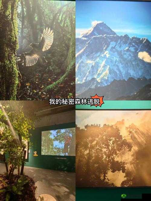 91 在线无精精品秘?入口九色:探寻未知的神秘世界