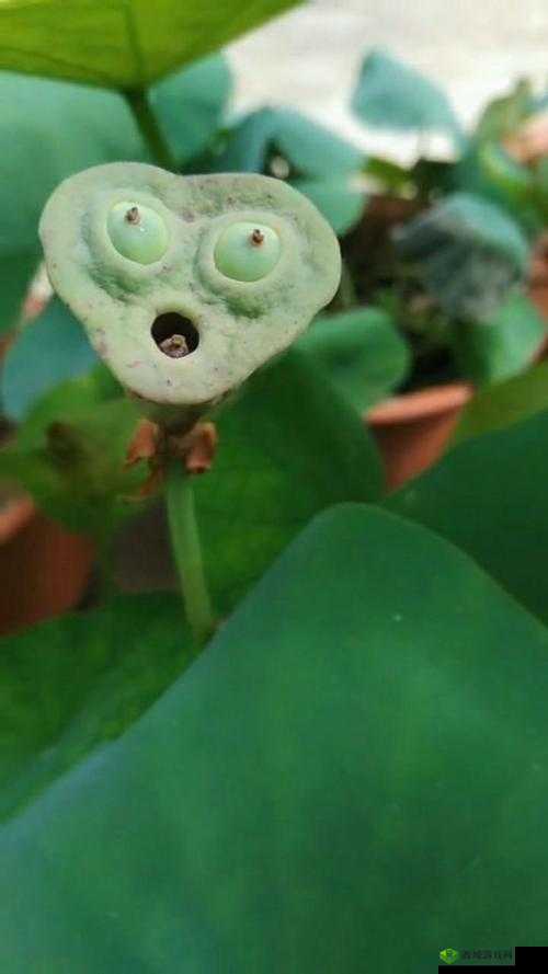 有一根又黑又硬的,竟让众人如此惊讶