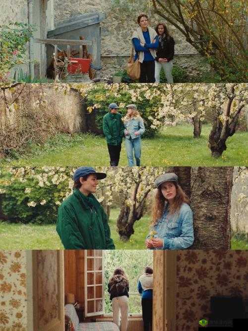 从日本电影三叶草的春天感想中学到的青春成长课:青春的启示与成长的感悟