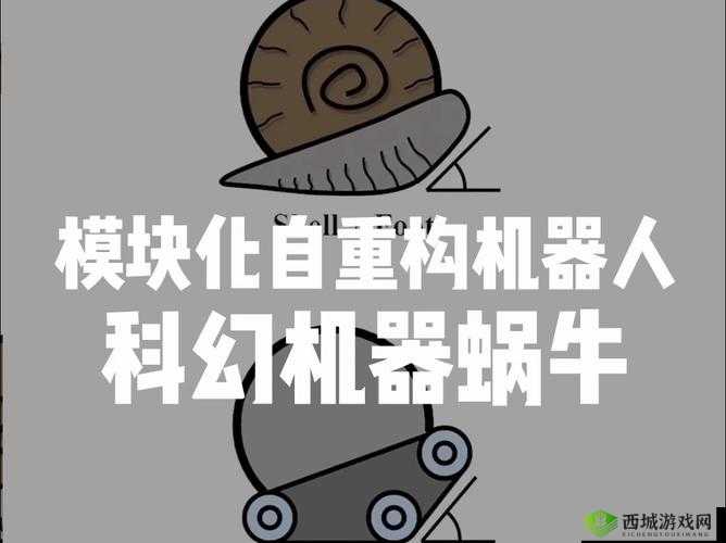 探索无限可能,最强蜗牛火箭机器人的奇妙用处