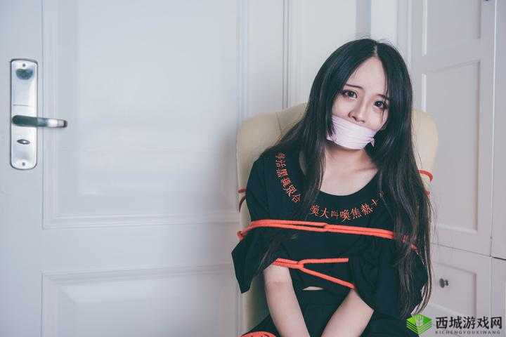 捆绑白丝:一种独特的服饰风格与文化现象探讨