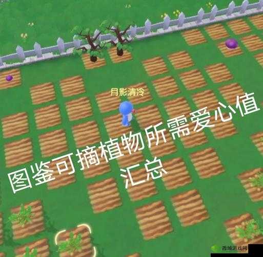 摩尔庄园爱心值提升全攻略,解锁更多乐趣与成就