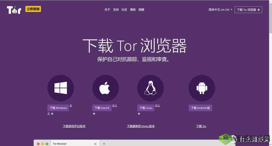 外国网站开放的浏览器:安全浏览全球互联网的工具