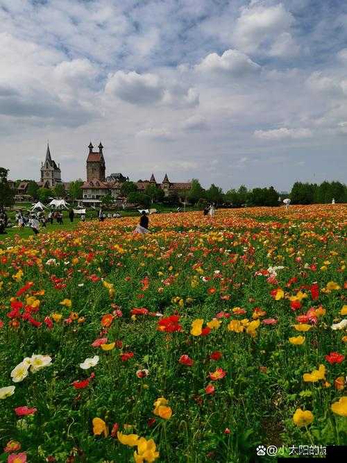 头埋在我花丛里:一段难以忘怀的芬芳邂逅之旅