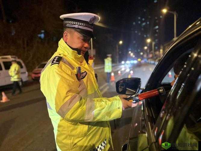 交警用小xue 查酒驾文叫什么:对酒驾检查方式的深入探讨