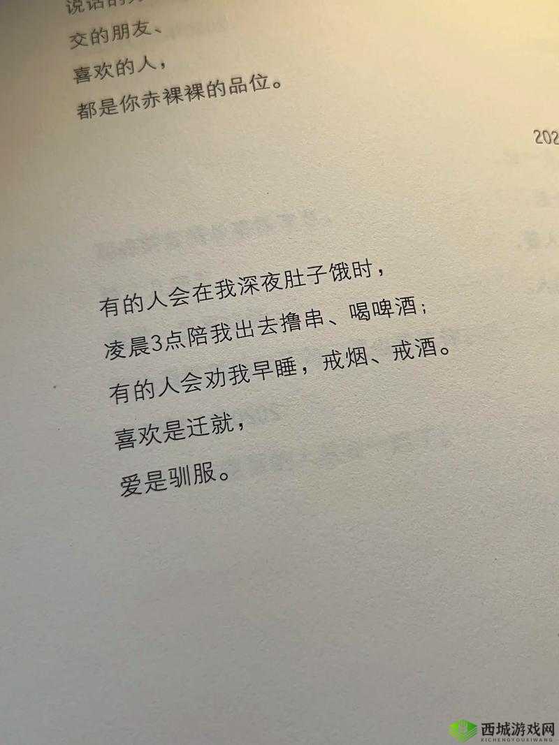 2024 年新 91 插插插:一场关于欲望与情感的探索之旅