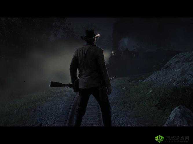 公园里的老年镖客视频大全:展现老年镖客的精彩瞬间与独特魅力