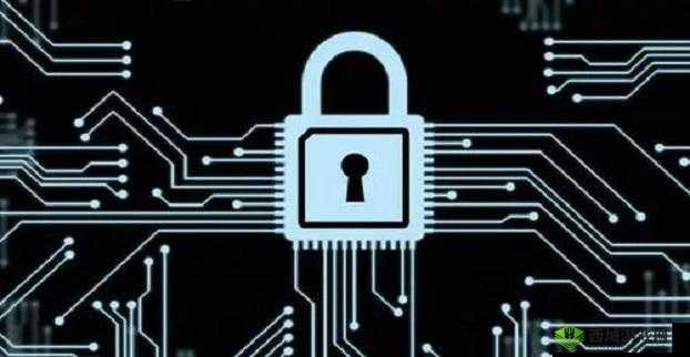 zjy 提取密码:揭秘个人隐私的危险密码