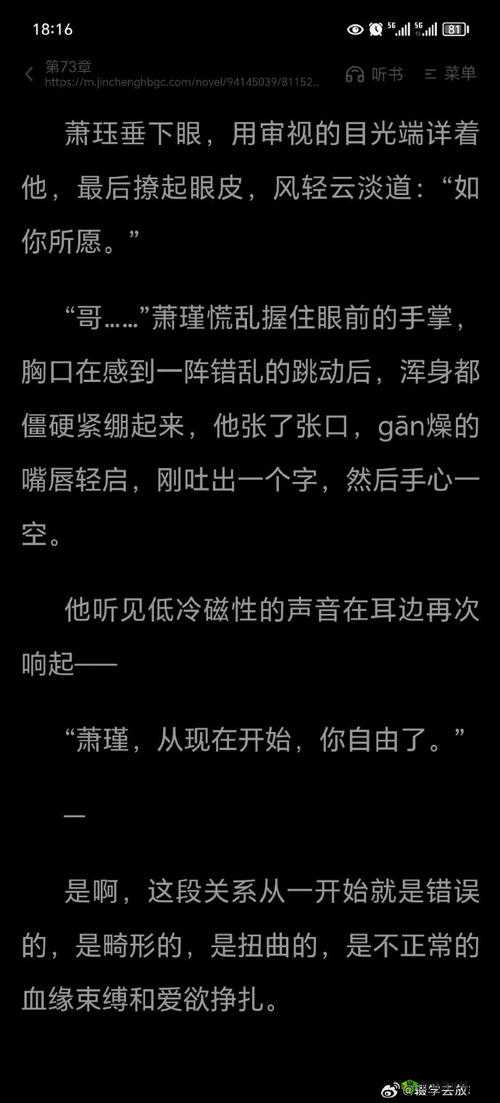 车速超高的双男主小说:极致速度下的热血激情与羁绊
