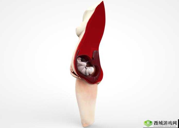 WINDOWSCHANNEL 孕妇 3D:一位孕妇的奇妙 3D 之旅