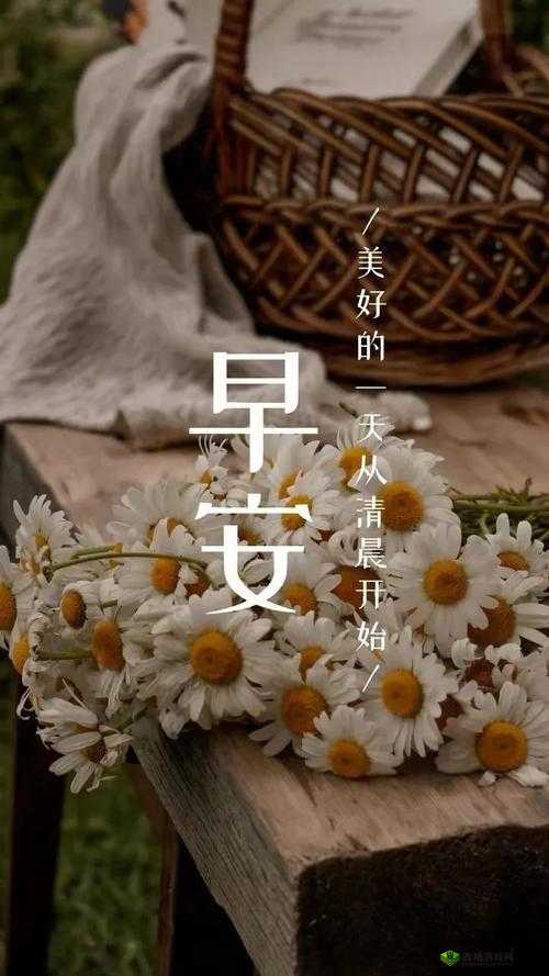 早安大人不要舔:这是一句很特别的话语呢