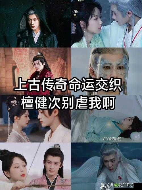 秦大爷与校花戴若希的传奇背景故事:命运交织的青春岁月