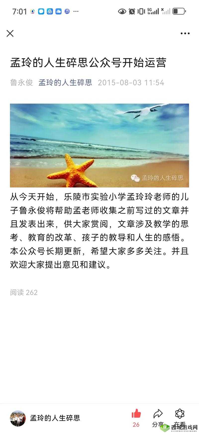 雏鸟幼儿小学生：成长路上的不同阶段与独特经历