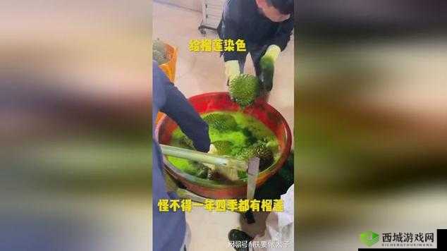 秋葵视频、草莓视频、丝瓜视频、榴莲视频网站秋之精彩大赏