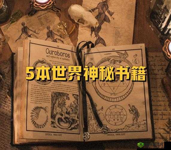 驭房之术全文:探索神秘房产世界背后的隐秘力量