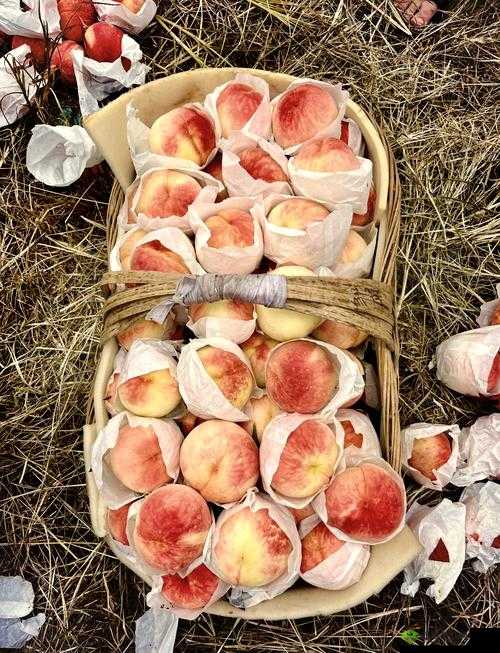 水蜜桃一品二品:多汁香甜的水果盛宴