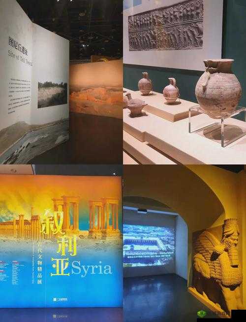 17c·cv :开启神秘未知的独特探索之旅