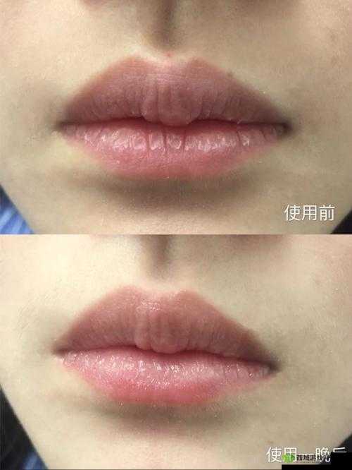 一个上面一个下面嘴巴:探索独特的面部构造之谜