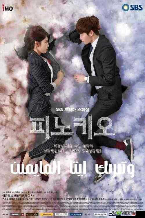 韩剧 2V2:一部精彩绝伦的浪漫爱情剧引发的情感风暴