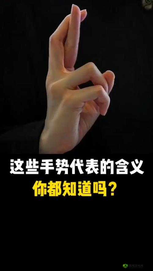 扣那里的手势图:探究其背后的含义与文化内涵