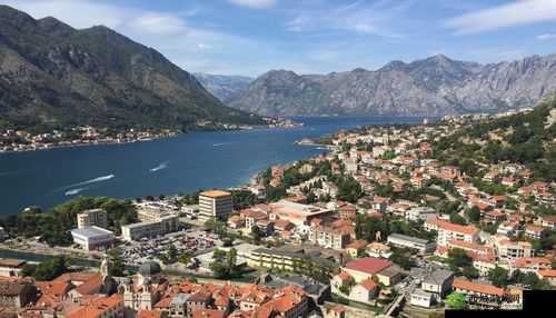 探索神秘的 8x8 伊甸园:一段充满惊喜与幻想的旅程