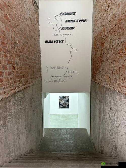 真实故事:揭秘乂乂乂美国人的生活