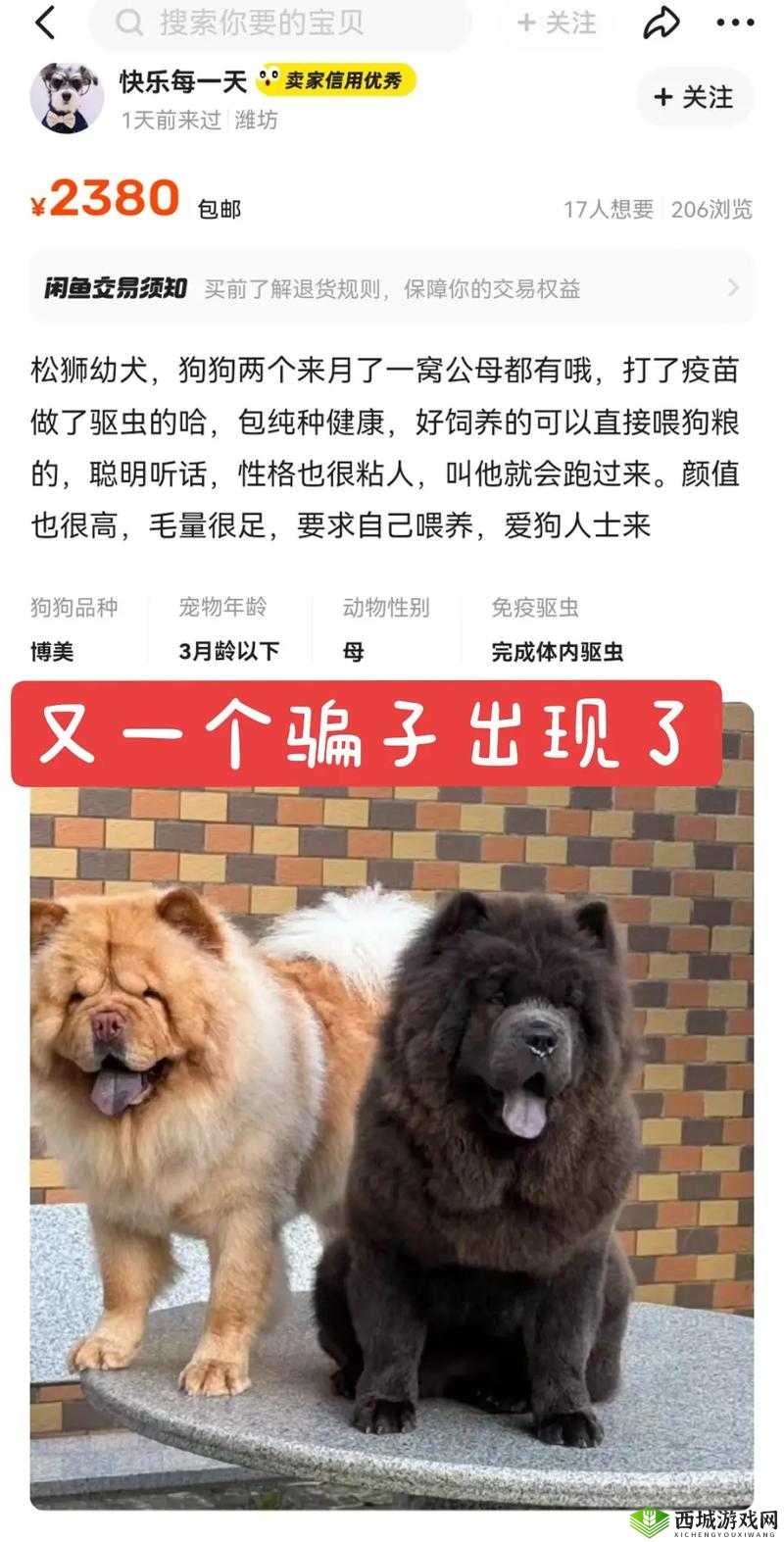 人or猪or狗已彻底下架老用户:相关情况引发广泛关注与讨论