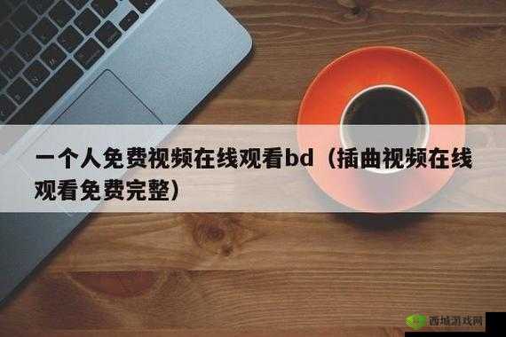 完整插曲视频免费在线观看中文:畅享精彩无需等待