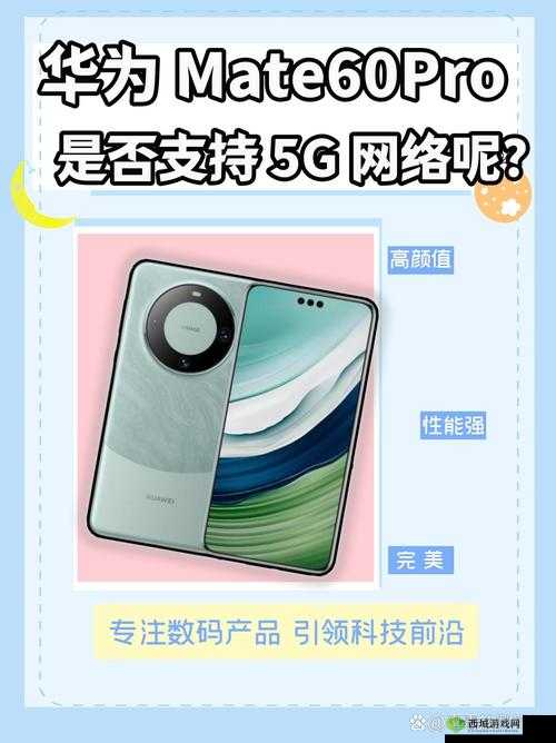 5G 天天爽:畅享极速连接带来的无限精彩体验