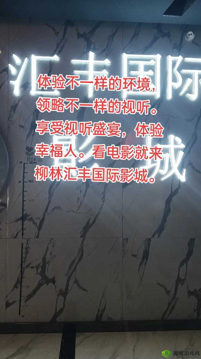 一二三四手机视频:带你领略精彩的掌上视听盛宴
