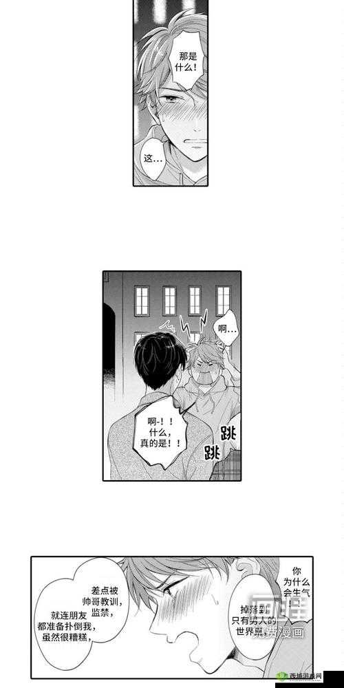 放学后的特殊教育桃子移植:一场独特而引人深思的教育实践