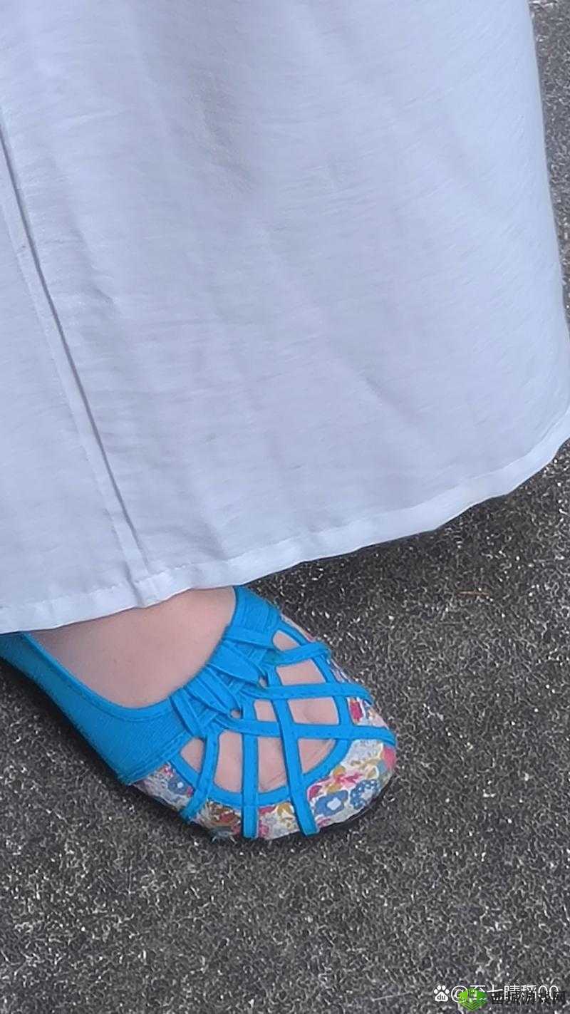 少妇 WWWB 搡 BBB 搡 BBB:事件背后的故事与影响探讨